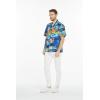 imageHawaii Hangover Hawaiian Shirt Aloha Shirt in Classic Hibiscus RedSunset With Dolphin  Blue