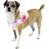 imageMatchable Family Hawaiian Luau Men Women Girl Boy Clothes in Pink Hibiscus Vine WhiteDog Bandana