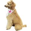 imageMatchable Family Hawaiian Luau Men Women Girl Boy Clothes in Pink Hibiscus Vine WhiteDog Bandana