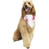 imageMatchable Family Hawaiian Luau Men Women Girl Boy Clothes in Pink Hibiscus Vine WhiteDog Bandana