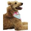 imageHawaiian Matching Pattern Dog Aloha Shirt in Pink Hibiscus Vine in White Size LargeBandana in Pink Hibiscus Turquoise