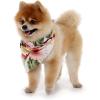 imageHawaiian Matching Pattern Dog Bandana in Cream Rafelsia Size SmallBandana in Cream Rafelsia