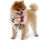 imageHawaiian Matching Pattern Dog Bandana in Cream Rafelsia Size SmallBandana in Cream Rafelsia