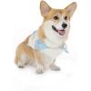 imageHawaiian Matching Pattern Dog Bandana in Pacific Palm Navy Size SmallBandana in Pacific Palm Cream