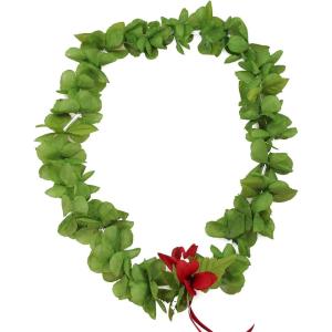 imageHawaii Luau Party Artificial Fabric Princess Plumeria LeiGreen