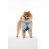 imageMatchable Family Hawaiian Luau Men Women Girl Boy Clothes in Pacific Palm NavyDog Bandana
