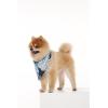 imageMatchable Family Hawaiian Luau Men Women Girl Boy Clothes in Pacific Palm NavyDog Bandana