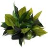 imageHawaii Luau Party Maile King Artificial Fabric All Green Leaves Lei Haku Wristband CollectionGreen Wristband