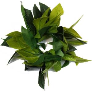 imageHawaii Luau Party Maile King Artificial Fabric All Green Leaves Lei Haku Wristband CollectionGreen Wristband