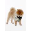 imageHawaiian Matching Pattern Dog Bandana in Wispy Cereus Black Size Large