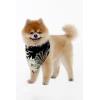 imageHawaiian Matching Pattern Dog Bandana in Wispy Cereus Black Size Large