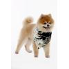 imageHawaiian Matching Pattern Dog Bandana in Wispy Cereus Black Size Large