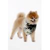 imageHawaiian Matching Pattern Dog Bandana in Wispy Cereus Black Size Large