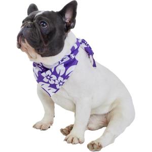 imageHawaiian Matching Pattern Dog Bandana in Vintage Hibiscus Purple Size SmallBandana in Vintage Hibiscus Purple