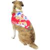 imageHawaiian Matching Pattern Dog Bandana in Hibiscus Black Size LargeBandana in Hibiscus Red