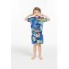 imageHawaii Hangover Boy Aloha Luau Shirt Cabana Set in Sunset with DolphinSunset With Dolphin  Blue