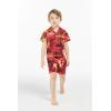 imageHawaii Hangover Boy Aloha Luau Shirt Cabana Set in Sunset with DolphinSunset With Dolphin  Red