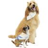 imageHawaiian Matching Pattern Dog Aloha Shirt in Sandy Beach Size MediumBandana in Sandy Beach Beige
