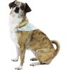 imageHawaiian Matching Pattern Dog Aloha Shirt in Sandy Beach Size MediumBandana in Sandy Beach Beige