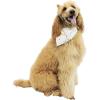 imageHawaiian Matching Pattern Dog Aloha Shirt in Sandy Beach Size MediumBandana in Sandy Beach Beige