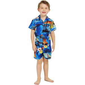imageHawaii Hangover Boy Aloha Luau Shirt Cabana Set in Sunset with DolphinSunset With Dolphin  Blue