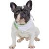 Bandana in Pineapple Garden White
