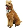 imageMatchable Family Hawaiian Luau Men Women Girl Boy Clothes in Wispy Cereus Light BlueDog Bandana