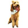 imageMatchable Family Hawaiian Luau Men Women Girl Boy Clothes in Wispy Cereus Light BlueDog Bandana