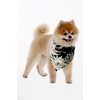 image:imageFamily Matching Hawaiian Clothes Wispy Cereus Black  Lightweight 100 rayon  Family matching outfits  Tropical floral print  Beach vacations  Luaus  Cruises  Family photosDog Bandana