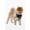 image:imageFamily Matching Hawaiian Clothes Wispy Cereus Black  Lightweight 100 rayon  Family matching outfits  Tropical floral print  Beach vacations  Luaus  Cruises  Family photosDog Bandana