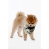 image:imageFamily Matching Hawaiian Clothes Wispy Cereus Black  Lightweight 100 rayon  Family matching outfits  Tropical floral print  Beach vacations  Luaus  Cruises  Family photosDog Bandana
