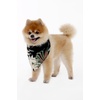 image:imageFamily Matching Hawaiian Clothes Wispy Cereus Black  Lightweight 100 rayon  Family matching outfits  Tropical floral print  Beach vacations  Luaus  Cruises  Family photosDog Bandana