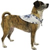 image:imageHawaii Hangover Family Matching Hawaiian Clothes Day Dream Bloom  Family matching Hawaiian outfits Day Dream Bloom lightweight rayon machine washable tropical floral print luaus cruisesDog Bandana