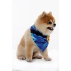 image:imageHawaii Hangover Family Matching Hawaiian Clothes Sunset Blue  Family matching Hawaiian outfits Sunset Blue lightweight rayon machine washable tropical print luaus cruisesDog Bandana
