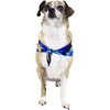 image:imageHawaii Hangover Family Matching Hawaiian Clothes Sunset Blue  Family matching Hawaiian outfits Sunset Blue lightweight rayon machine washable tropical print luaus cruisesDog Bandana