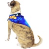 image:imageHawaii Hangover Family Matching Hawaiian Clothes Sunset Blue  Family matching Hawaiian outfits Sunset Blue lightweight rayon machine washable tropical print luaus cruisesDog Bandana