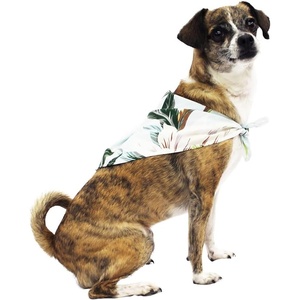 image:imageHawaii Hangover Hawaiian Matching Pattern Dog Bandana in Wispy Cereus Light Blue Size SmallBandana in Wispy Cereus Light Blue