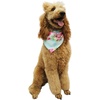 image:imageHawaii Hangover Family Matching Clothes Pink Hibiscus Vine Turquoise  Family matching Hawaiian outfits Pink Hibiscus Vine Turquoise lightweight rayon machine washable tropical floral printDog Bandana