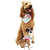 image:imageHawaii Hangover Family Matching Clothes Pink Hibiscus Vine Turquoise  Family matching Hawaiian outfits Pink Hibiscus Vine Turquoise lightweight rayon machine washable tropical floral printDog Bandana