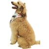 image:imageHawaii Hangover Family Matching Hawaiian Clothes Neon Sunset Pink  Family Matching Hawaiian Clothes Neon Sunset Pink lightweight rayon machine washable tropical floral print luausDog Bandana