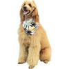 image:imageHawaii Hangover Family Matching Hawaiian Clothes Neon Sunset Pink  Family Matching Hawaiian Clothes Neon Sunset Pink lightweight rayon machine washable tropical floral print luausDog Bandana