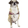 image:imageHawaii Hangover Family Matching Hawaiian Clothes Neon Sunset Pink  Family Matching Hawaiian Clothes Neon Sunset Pink lightweight rayon machine washable tropical floral print luausDog Bandana
