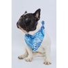 image:imageHawaii Hangover Family Matching Hawaiian Clothes Simply Blue Leaves  Family matching Hawaiian outfits Simply Blue Leaves lightweight rayon machine washable tropical leaf print luausDog Bandana
