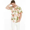 image:imageHawaii Hangover Family Matching Hawaiian Clothes Cream Rafelsia  Family matching Hawaiian outfits Cream Rafelsia lightweight rayon machine washable tropical floral print luaus cruisesMen Short Sleeve